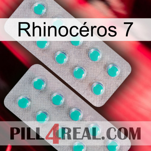Rhinocéros 7 29